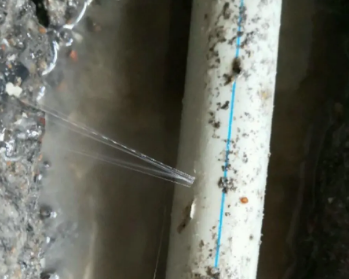 桥西卫生间测漏水多少钱